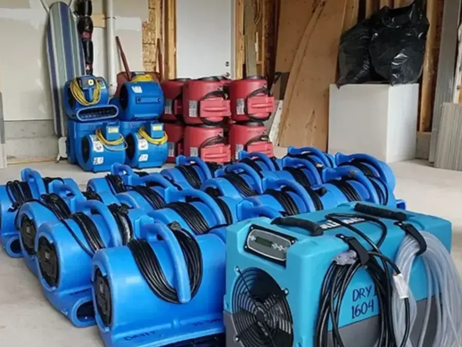 Air movers and dehumidifiers lined up in an opened room during structural drying