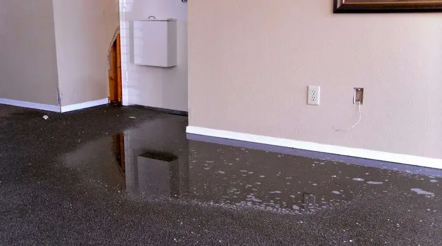 A carpeted room soaked with standing water ahead of extraction